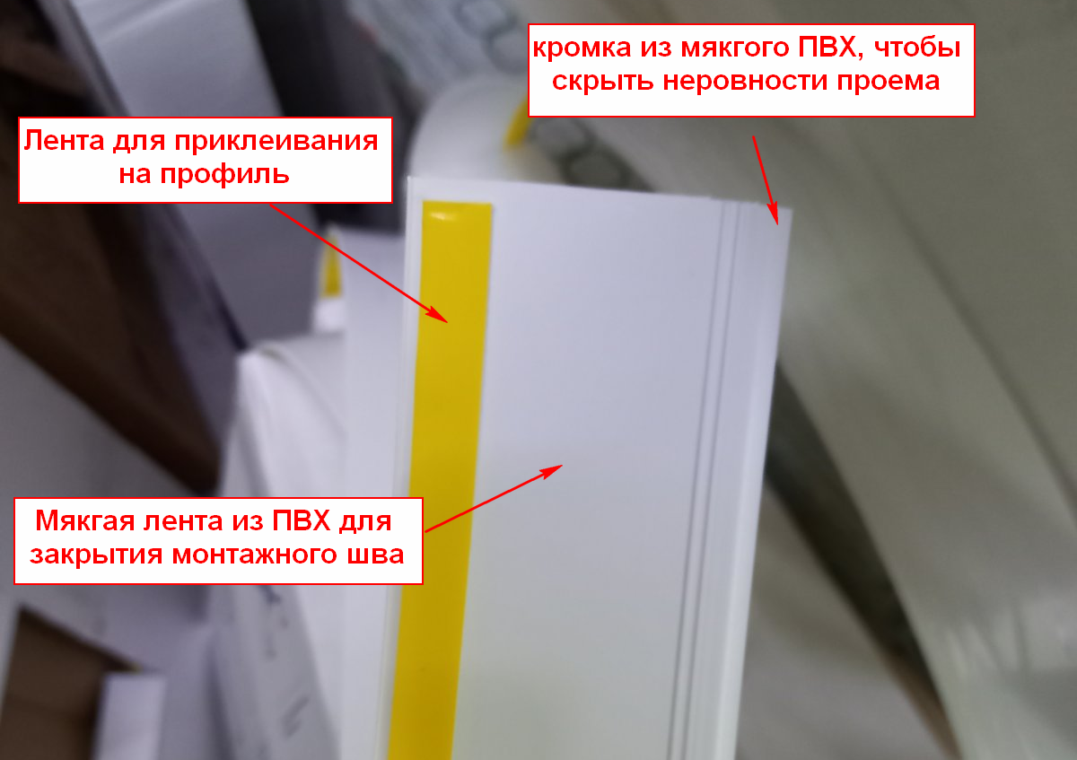 naschelnikfoto1.png